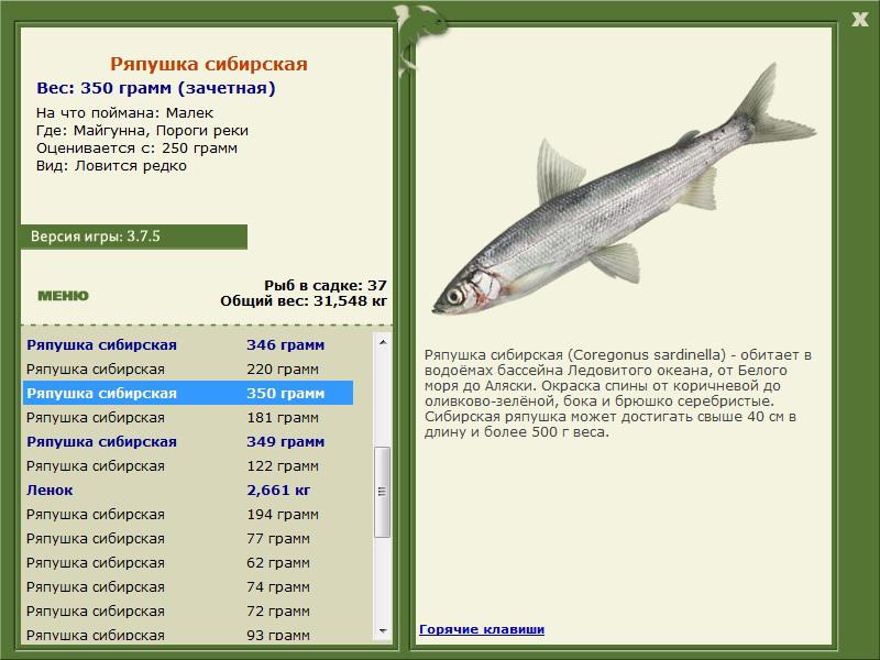 Пороги реки 