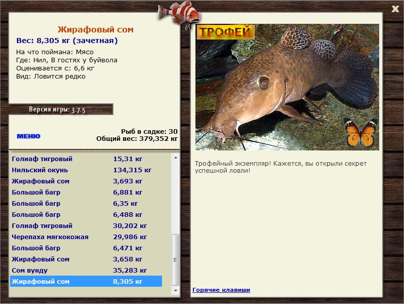Жирафовый сом 