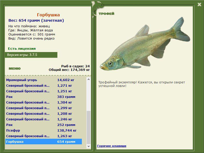 Горбушка 