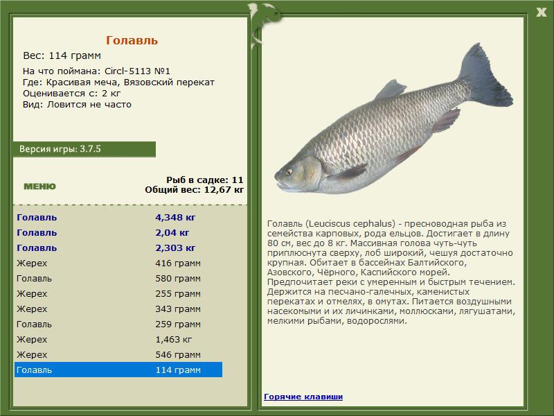РУССКАЯ РЫБАЛКА Installsoft Edition 