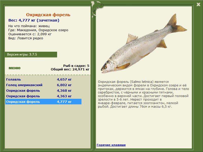 турниры • РУССКАЯ РЫБАЛКА