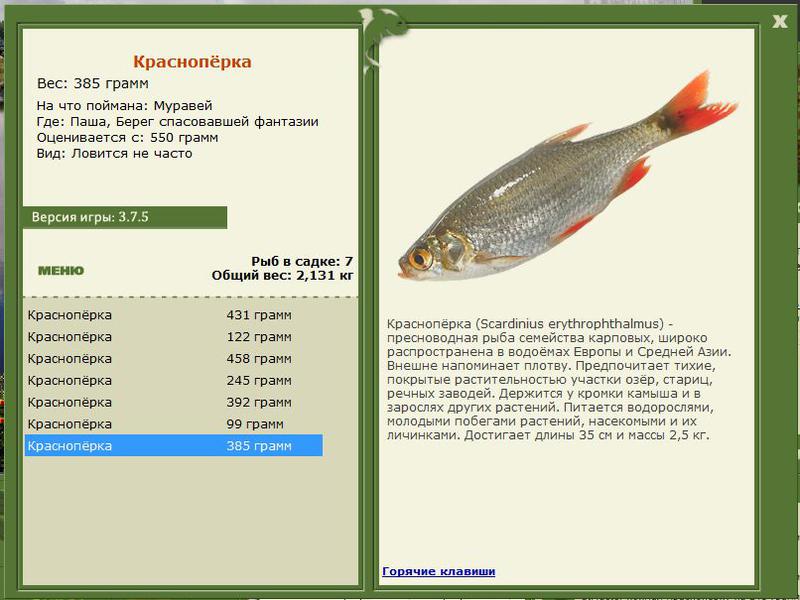 РУССКАЯ РЫБАЛКА Installsoft Edition 