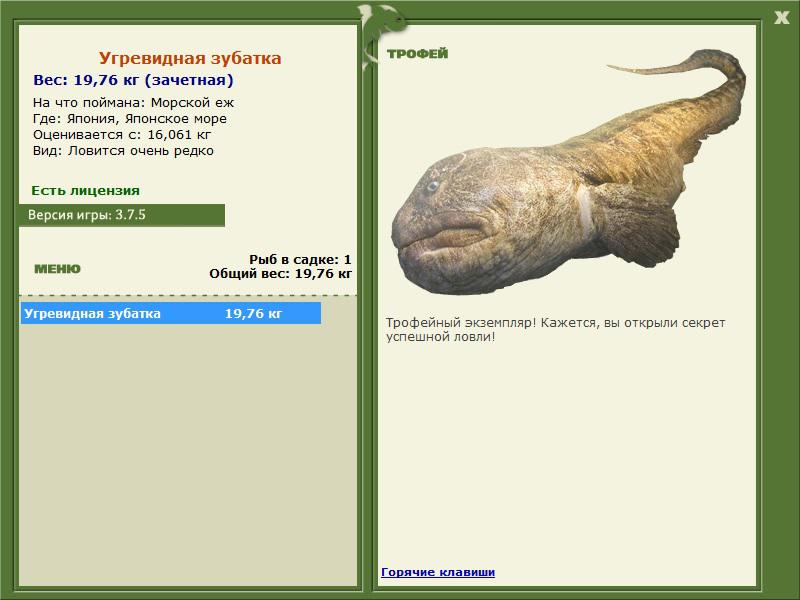 Японское море 