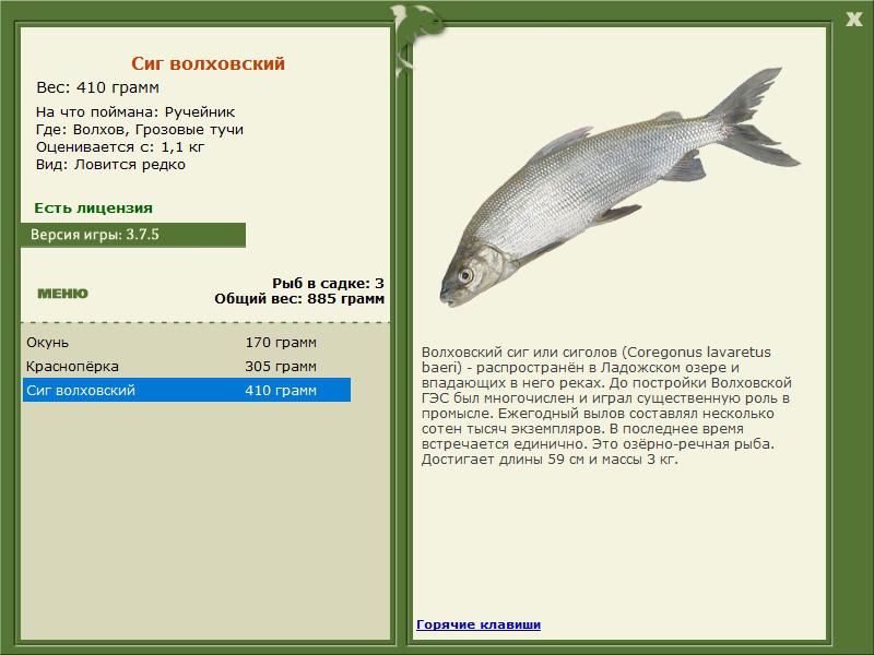 РУССКАЯ РЫБАЛКА Installsoft Edition 