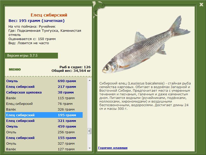 турниры • РУССКАЯ РЫБАЛКА