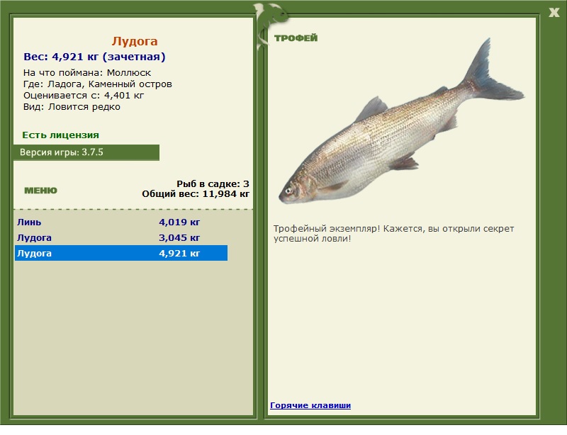 Моллюск 