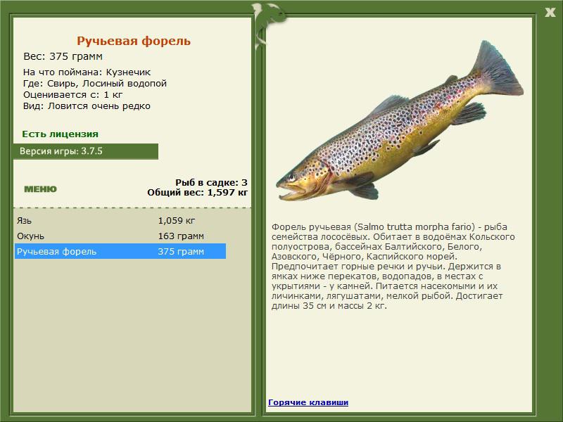 РУССКАЯ РЫБАЛКА Installsoft Edition 