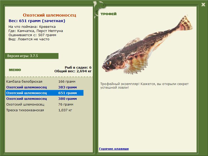 Охотский шлемоносец 