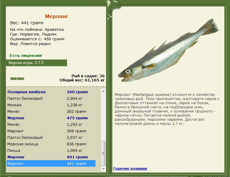 Ледник 