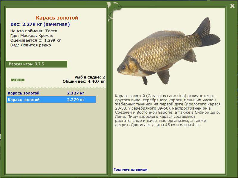 РУССКАЯ РЫБАЛКА Installsoft Edition 
