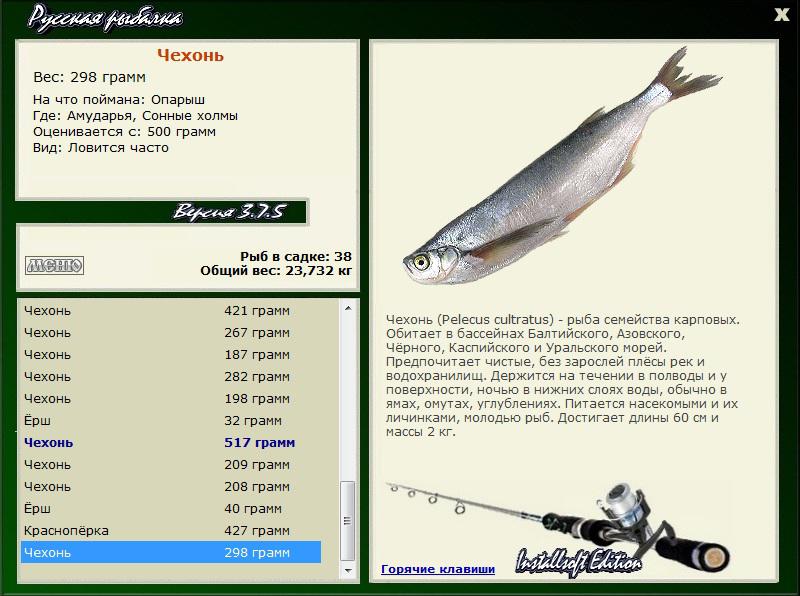 Сонные холмы 