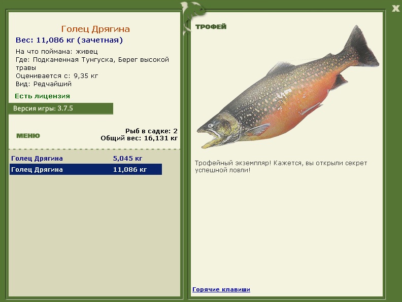Голец Дрягина 