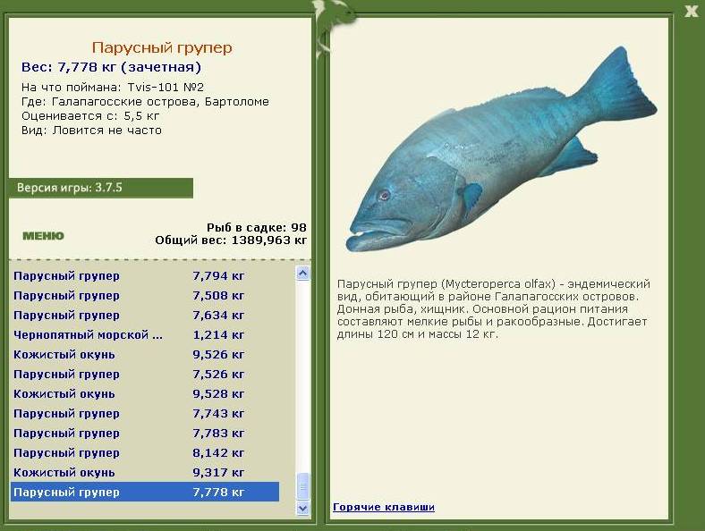 турниры • РУССКАЯ РЫБАЛКА