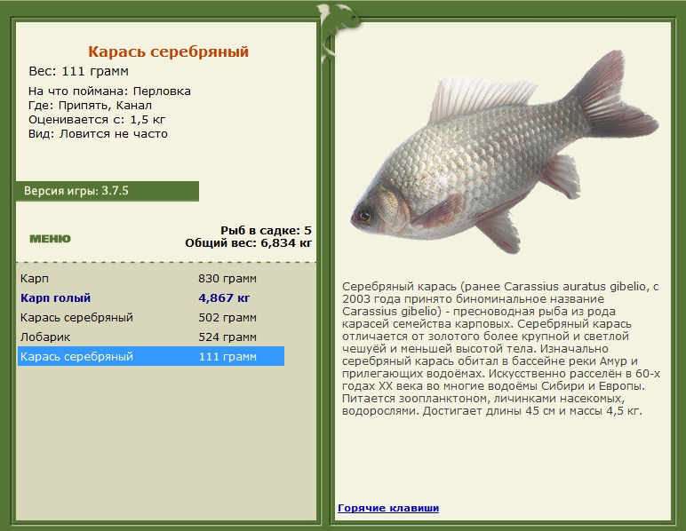 турниры • РУССКАЯ РЫБАЛКА