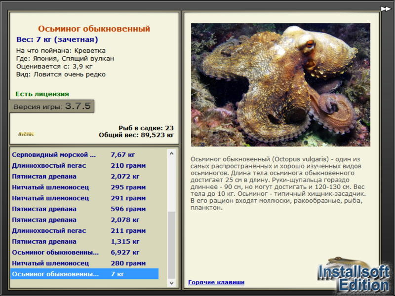 турниры • РУССКАЯ РЫБАЛКА