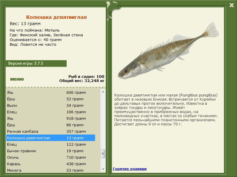 турниры • РУССКАЯ РЫБАЛКА