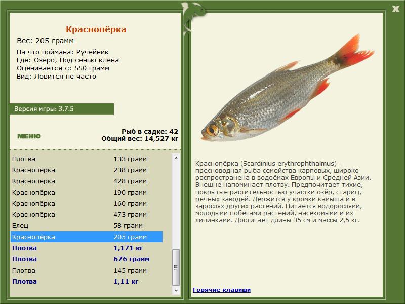 турниры • РУССКАЯ РЫБАЛКА