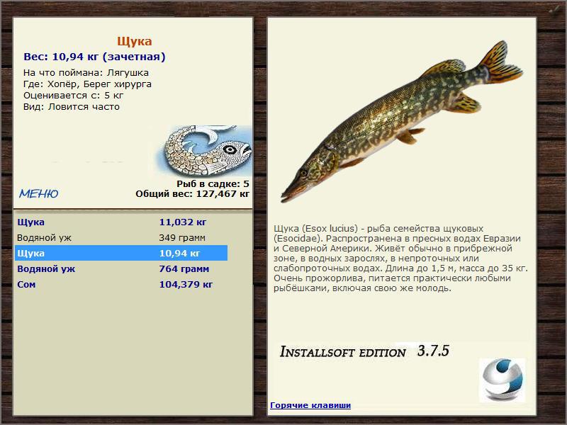 Берег хирурга 