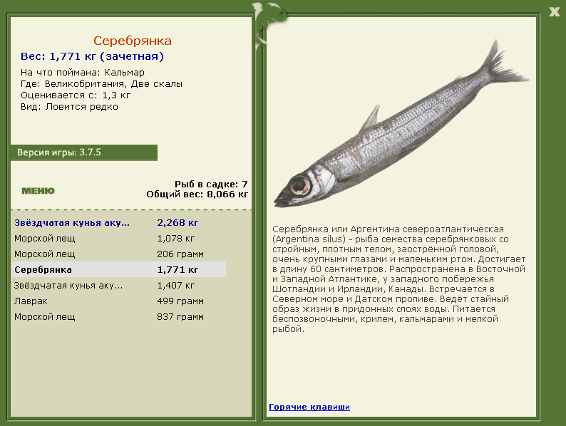 Две скалы 