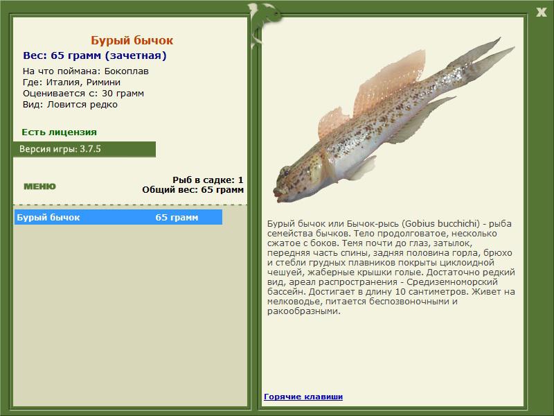 Римини 