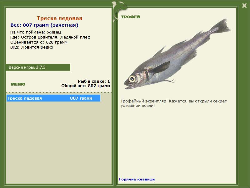 Ледяной плёс 