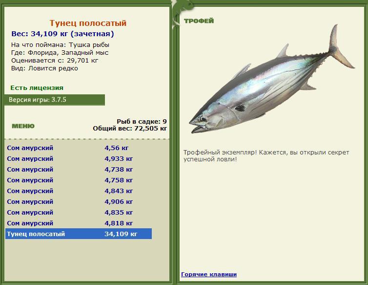 Тушка рыбы 