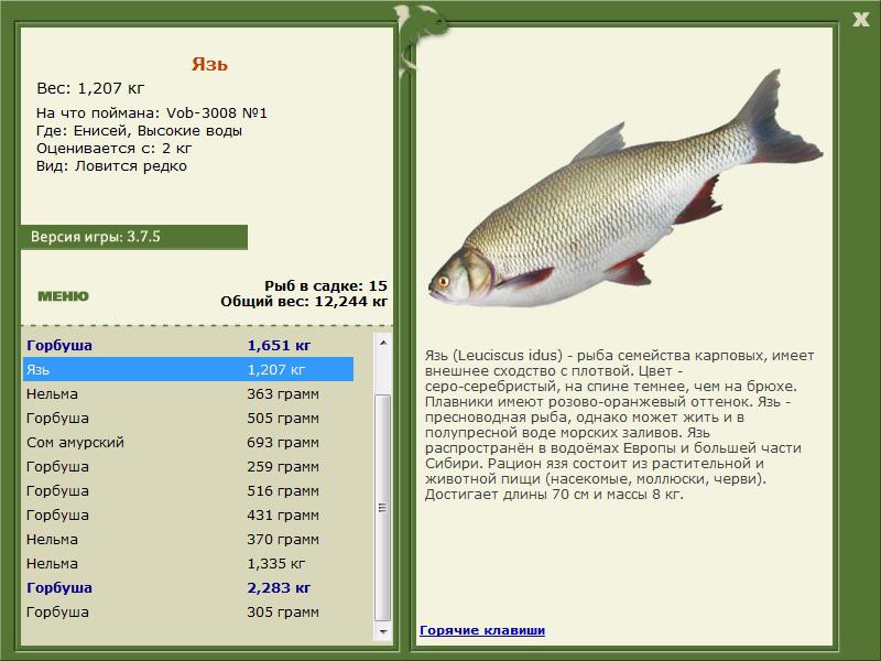 РУССКАЯ РЫБАЛКА Installsoft Edition 