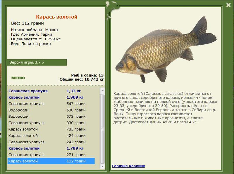 РУССКАЯ РЫБАЛКА Installsoft Edition 