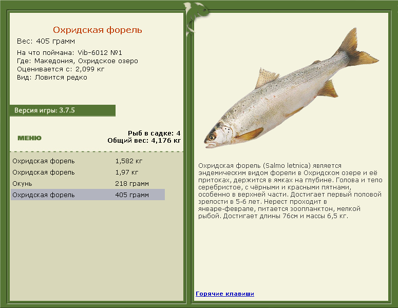 Охридское озеро 