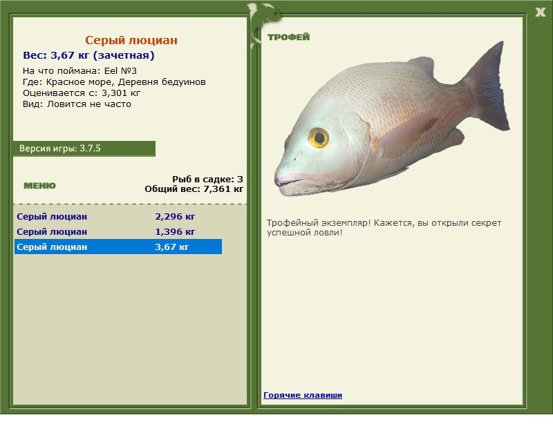 Eel 