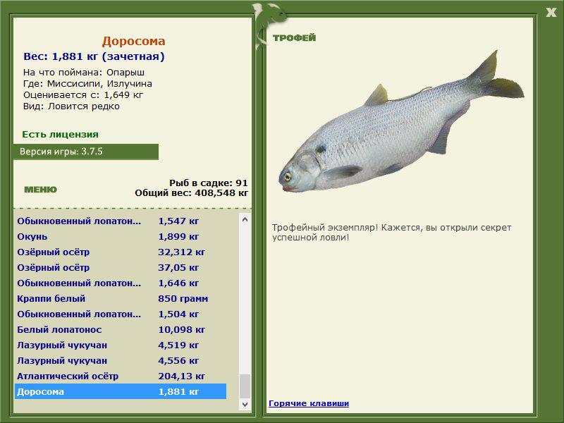 Доросома 
