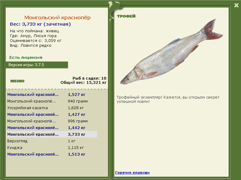 Монгольский краснопёр 