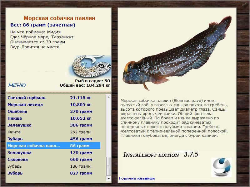 Чёрное море 