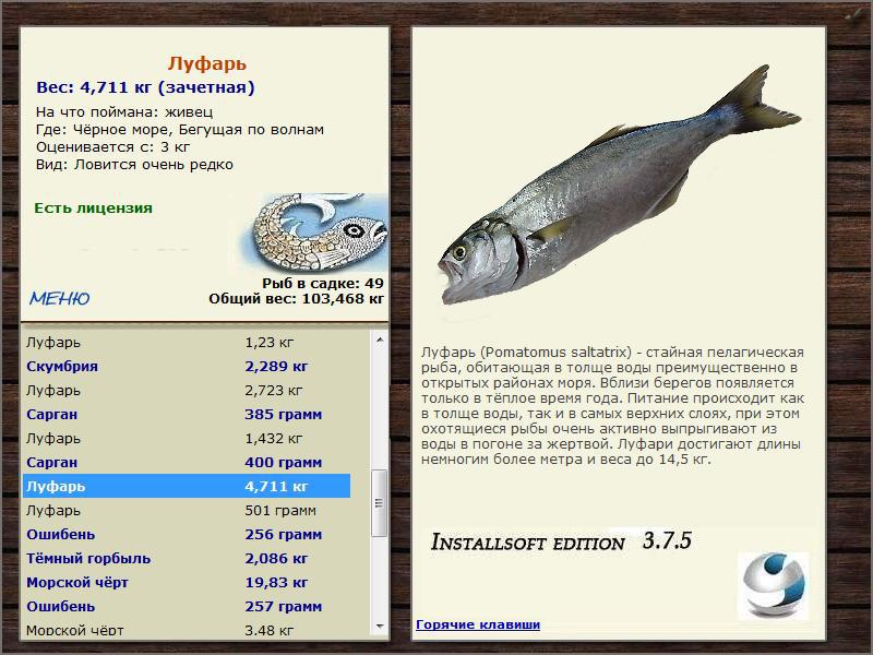 Чёрное море 