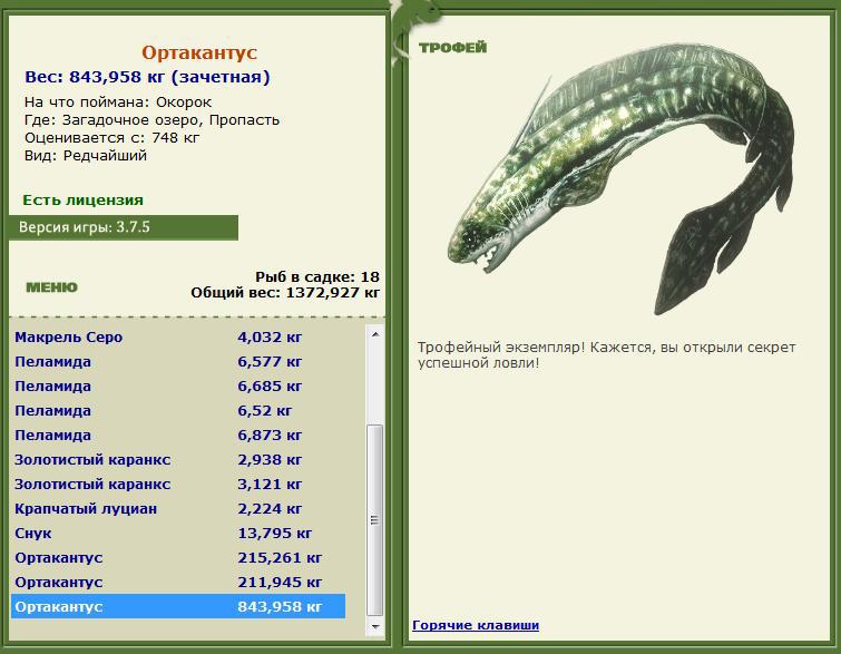 турниры • РУССКАЯ РЫБАЛКА