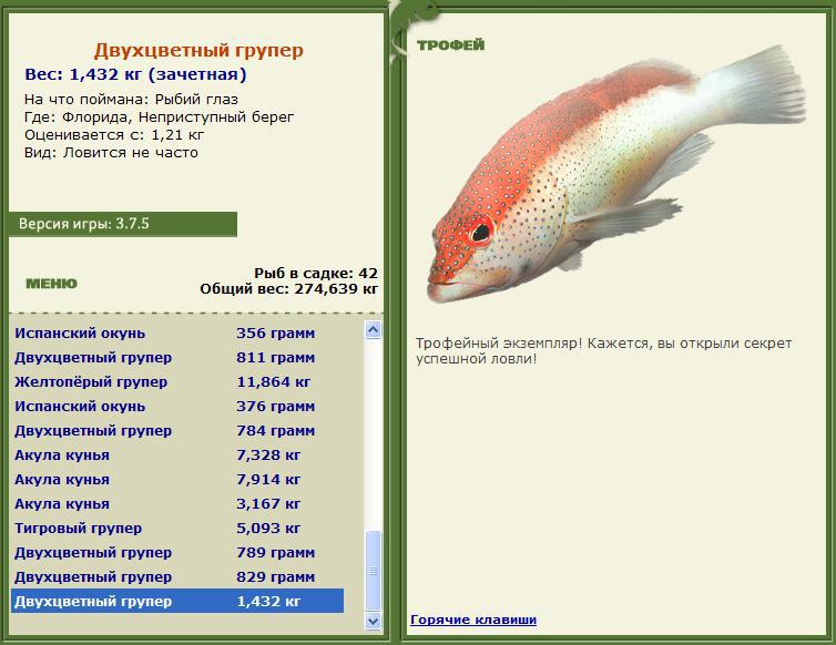 турниры • РУССКАЯ РЫБАЛКА