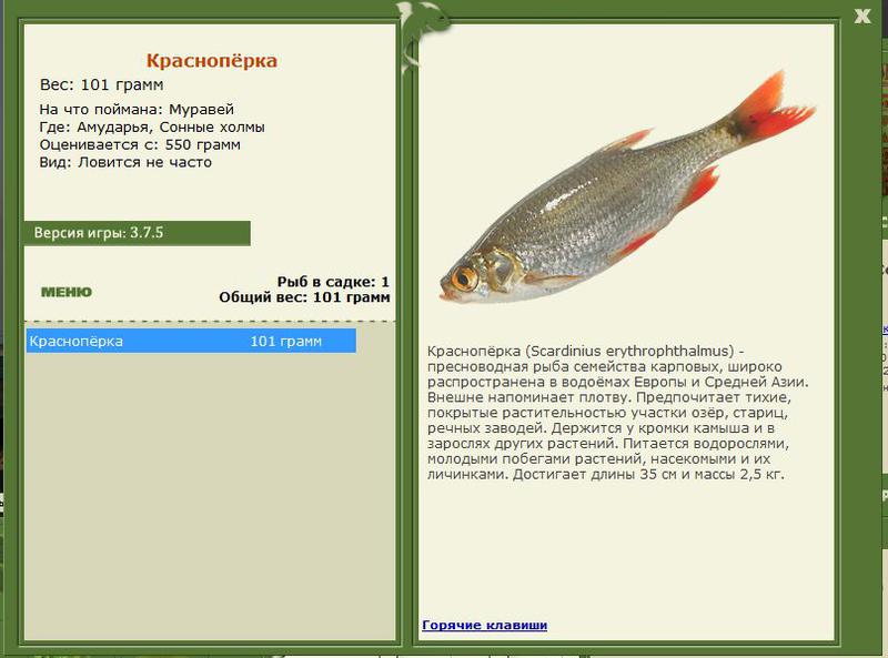 РУССКАЯ РЫБАЛКА Installsoft Edition 