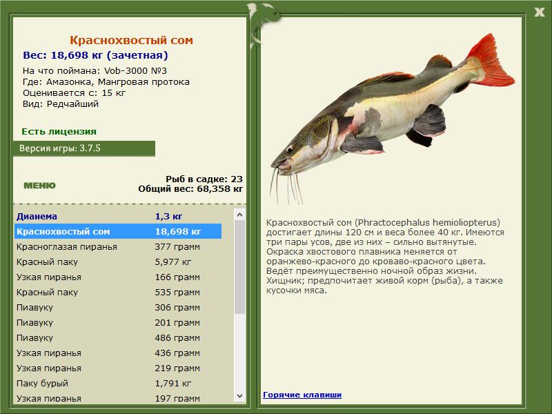 РУССКАЯ РЫБАЛКА Installsoft Edition 