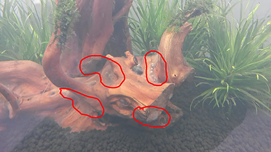  Начать новую тему