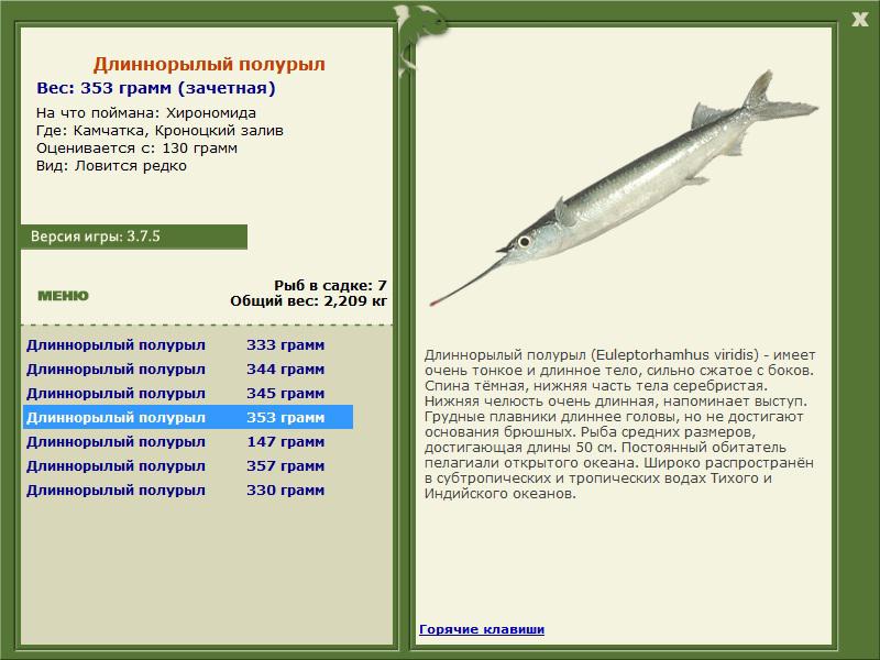 Кроноцкий залив 