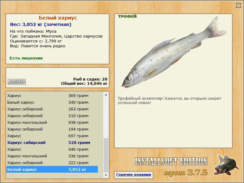 Белый хариус 