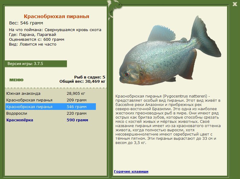 Парагвай 