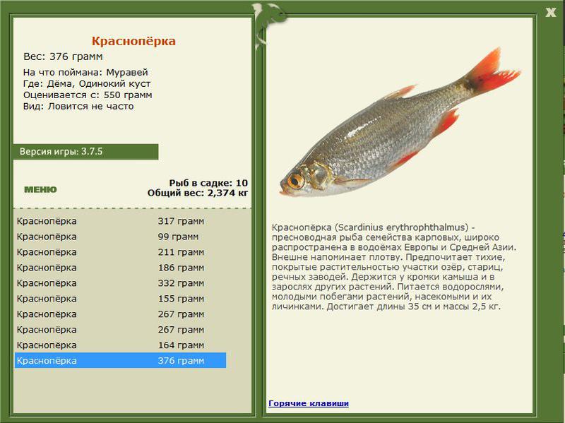 РУССКАЯ РЫБАЛКА Installsoft Edition 