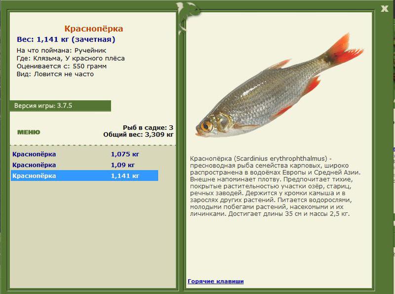 РУССКАЯ РЫБАЛКА Installsoft Edition 