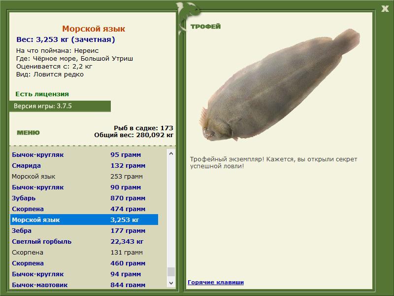 Морской язык 