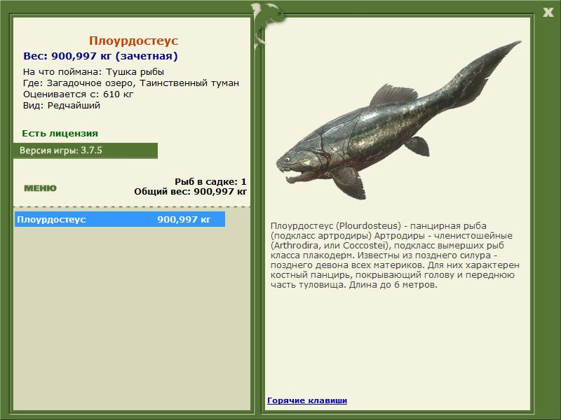 Таинственный туман 