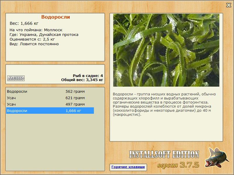 турниры • РУССКАЯ РЫБАЛКА