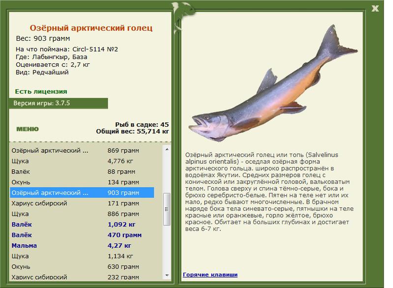 Лабынгкыр 