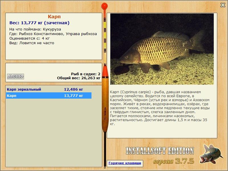 турниры • РУССКАЯ РЫБАЛКА