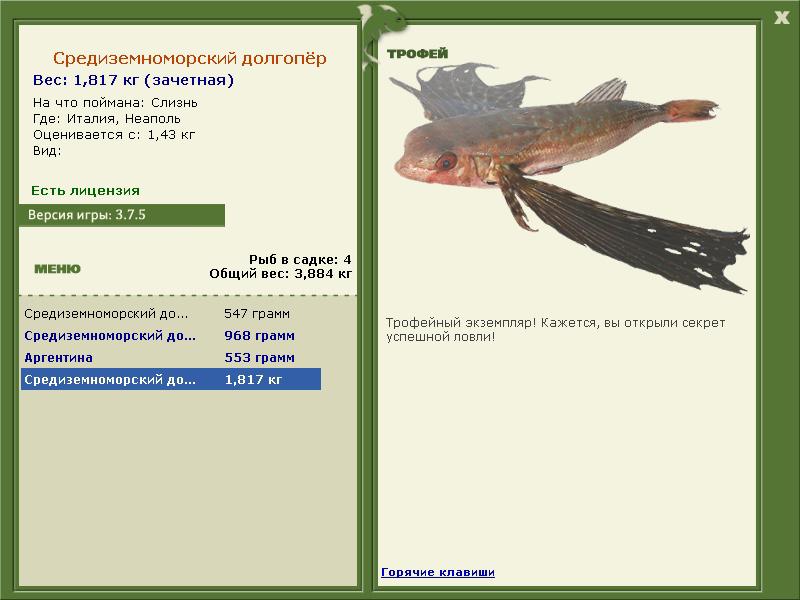 Средиземноморский долгопёр 